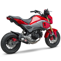 Yoshimura Exhaust Race Rs-2 Full-sys Ss-cf-ss Works - Street Collection