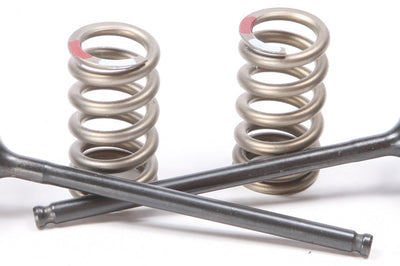 PROX Exhaust Valve Conversion Set Ti Steel Yam