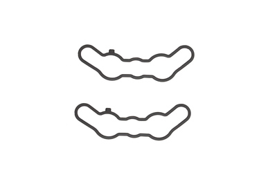 Sp1 Exhaust Valve Gasket Set Pol - Snowmobile Collection