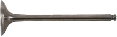 Hot Cams Exhaust Valve Titanium - Offroad Collection