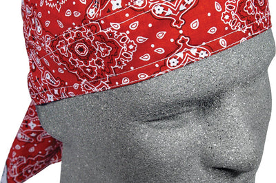 Zan Flydanna Paisley Red Harddrive Products