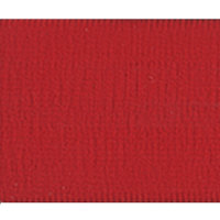 SCOTT Fury Goggle Red Clear Works