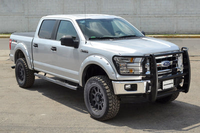 Go Rhino 04-04 Ford F-150 3000 Series StepGuard - Black (Center Grille Guard Only) - Bumpers Grilles & Guards