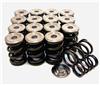 GSC Power Division P-D Honda B-Series Vtec Dual Spring Set and Titanium Retainer - Engine Components