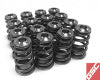 GSC Power Division P-D Subaru EJ Series Conical Valve Spring and Ti Retainer Kit - Engine Components