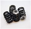 GSC Power Division P-D VQ35DE (turbo High Rev) Beehive Valve Spring and Titanium Retainer Kit - Engine Components