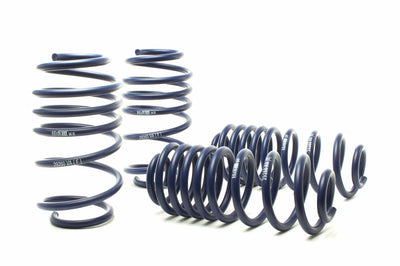H&R 05-10 Volkswagen Jetta/Jetta Sportwagen 2.5L/1.9L TDI/2.0T MK5 Race Spring - Suspension