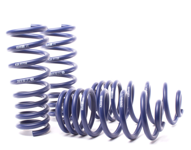 H&R 07-13 BMW X5 E70 Sport Spring (w/o Self-Leveling/Incl. Diesel) - Suspension