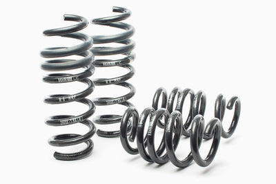 H&R 08-15 Audi R8/R8 Cabrio V8/V10 Sport Spring - Suspension