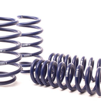 H&R 11-14 Dodge Challenger RT/SRT8 V8 Sport Spring (w/o Nivomat) - Suspension