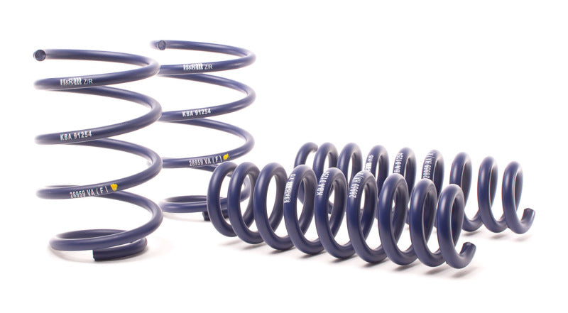 H&R 13-15 BMW X1 sDrive28i E84 Sport Spring (2WD Only) - Suspension
