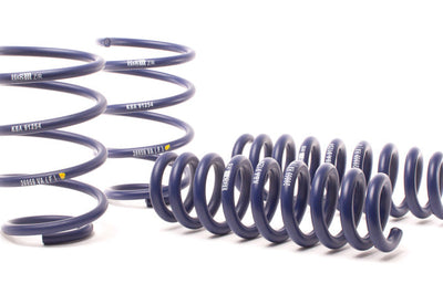 H&R 13-15 BMW X1 sDrive28i E84 Sport Spring (2WD Only) - Suspension