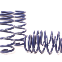 H&R 13-18 BMW M6/M6 Convertible F12/F13 Sport Spring - Suspension