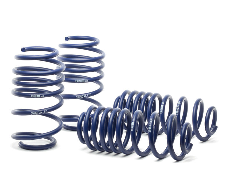 H&R 14-18 Volkswagen Jetta S/SE/SEL/GLI MK6 Race Spring - Suspension