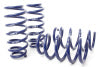 H&R 20-22 Tesla Model Y AWD Performance Sport Spring (Non Air Susp.) - Suspension