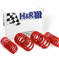 H&R 96-01 Audi A4 Quattro (AWD) B5 Race Spring - Suspension