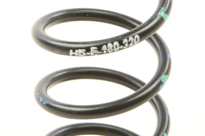 Speedwerx H5 Alloy Clutch Spring 180lb Black/blue/green - Snowmobile Collection