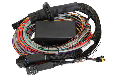 Haltech Elite 1500 8ft Premium Universal Wire-In Harness - Engine Components