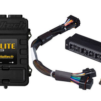 Haltech Elite 1500 Adaptor Harness ECU Kit - Programmers & Chips