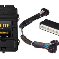 Haltech Elite 2500 Adaptor Harness ECU Kit - Programmers & Chips