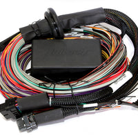Haltech Elite 2500 & T 8ft Premium Universal Wire-In Harness - Engine Components