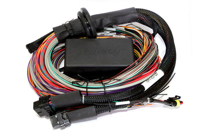 Haltech Elite 2500 & T 8ft Premium Universal Wire-In Harness - Engine Components