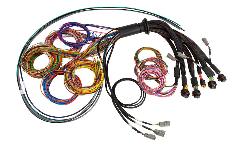 Haltech NEXUS R5 Universal Wire-In Harness - 2.5M (8ft) - Engine Components