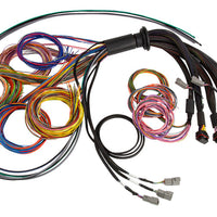 Haltech NEXUS R5 Universal Wire-In Harness - 2.5M (8ft) - Engine Components