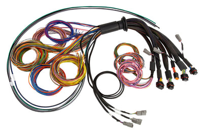 Haltech NEXUS R5 Universal Wire-In Harness - 2.5M (8ft) - Engine Components