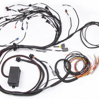 Haltech Nissan RB Elite 2000/2500 Terminated Engine Harness w/EV1 Injector Connectors - Components