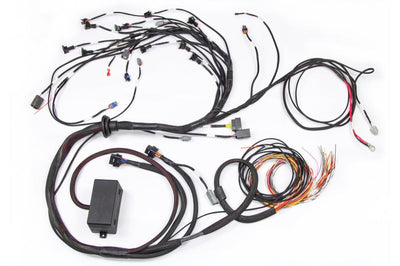 Haltech Nissan RB Elite 2000/2500 Terminated Engine Harness w/EV1 Injector Connectors - Components