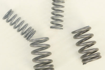 Bbr Hd Valve Springs - Offroad Collection