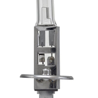 Hella Bulb H1 12V 55W P14.5s T2.5 LONGLIFE - Lights