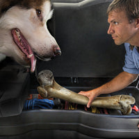 Husky Liners 09-12 Ford F-150 SuperCrew Cab GearBox (w/o Factory Subwoofer) - Exterior Styling