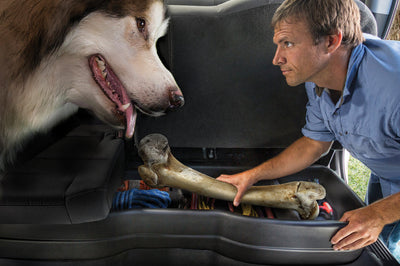 Husky Liners 14 Chevrolet Silverado 1500 / GMC Sierra Crew Cab ONLY GearBox - Exterior Styling