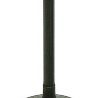 BRONCO Intake Valve - Engine