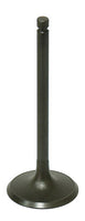 BRONCO Intake Valve - Engine