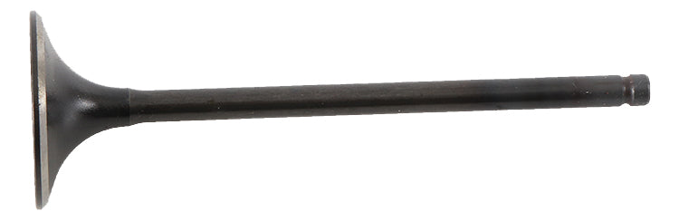 Hot Cams Intake Valve Steel - Offroad Collection