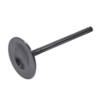Hot Cams Intake Valve Titanium - Offroad Collection