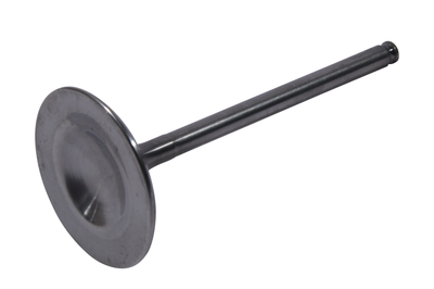 Hot Cams Intake Valve Titanium - Offroad Collection