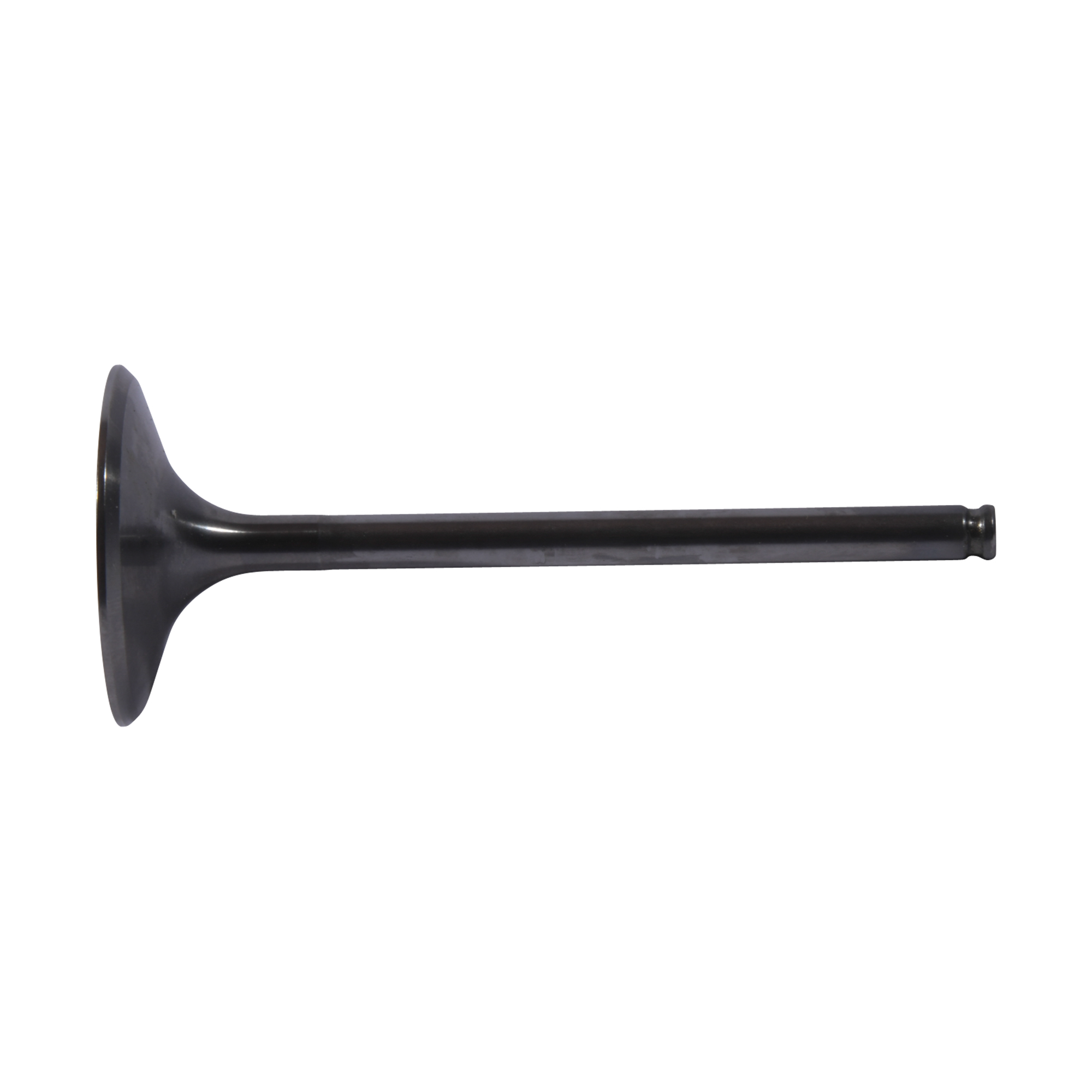 Hot Cams Intake Valve Titanium - Offroad Collection