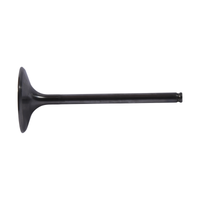 Hot Cams Intake Valve Titanium - Offroad Collection