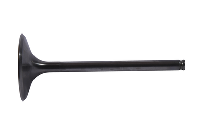 Hot Cams Intake Valve Titanium - Offroad Collection