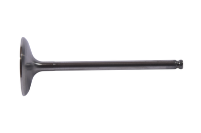 Hot Cams Intake Valve Titanium - Offroad Collection