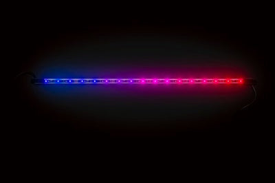 Ecoxgear Interior Led Kit Controller & Strips