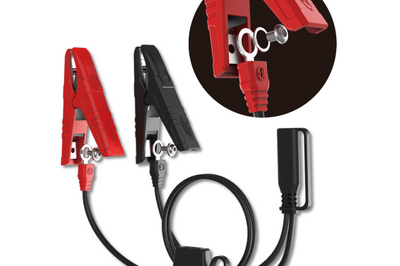 Battery Tender Junior 1.25 Amp 6v Charger - Watercraft Collection