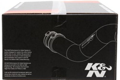 K&N Engineering 11-17 BMW 520i/528i N20 2.0L F/I Performance Air Intake System - Systems