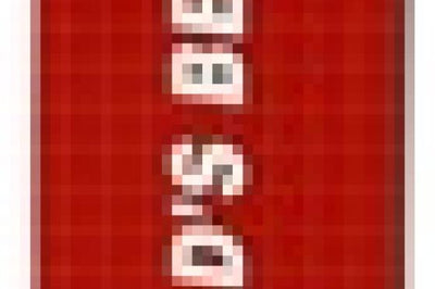 K&N Engineering 11 Polaris Ranger RZR XP Replacement Air Filter - Misc Powersports