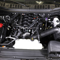 K&N Engineering 63 Series AirCharger Performance Intake 15-19 Ford F150 5.0L V8 F/I - Air Systems