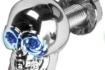 Harddrive Lighted Skull Lic Plate Screw White - Blue - Products